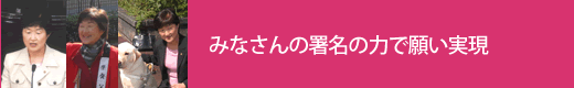 みなさんの署名の力で願い実現